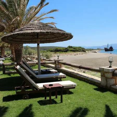 Amanda Σελινίτσα