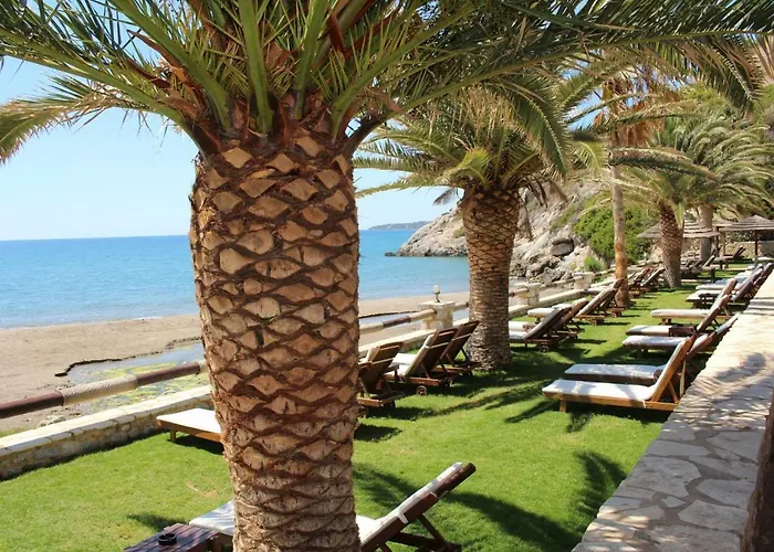 Amanda Feriehus Selinitsa